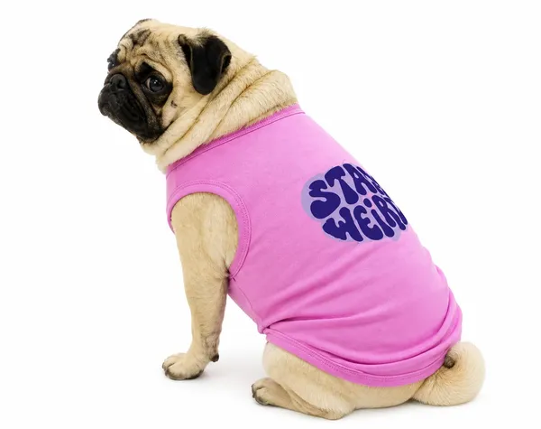 Lavender_Cotton_Graphic_T-Shirt_For_Dogs