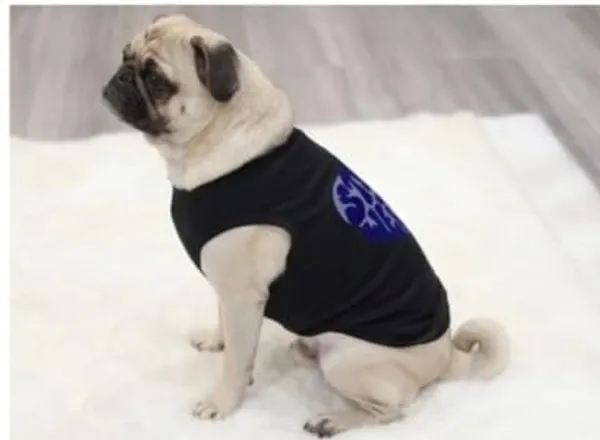 Black_Cotton_Graphic_Print_T-Shirt_For_Dogs