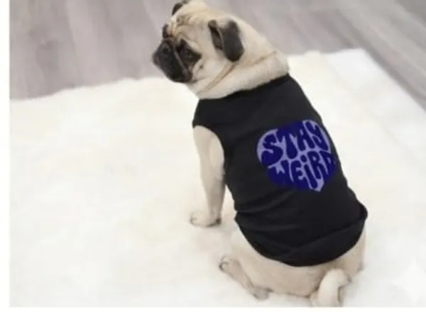 Black_Cotton_Graphic_Print_T-Shirt_For_Dogs