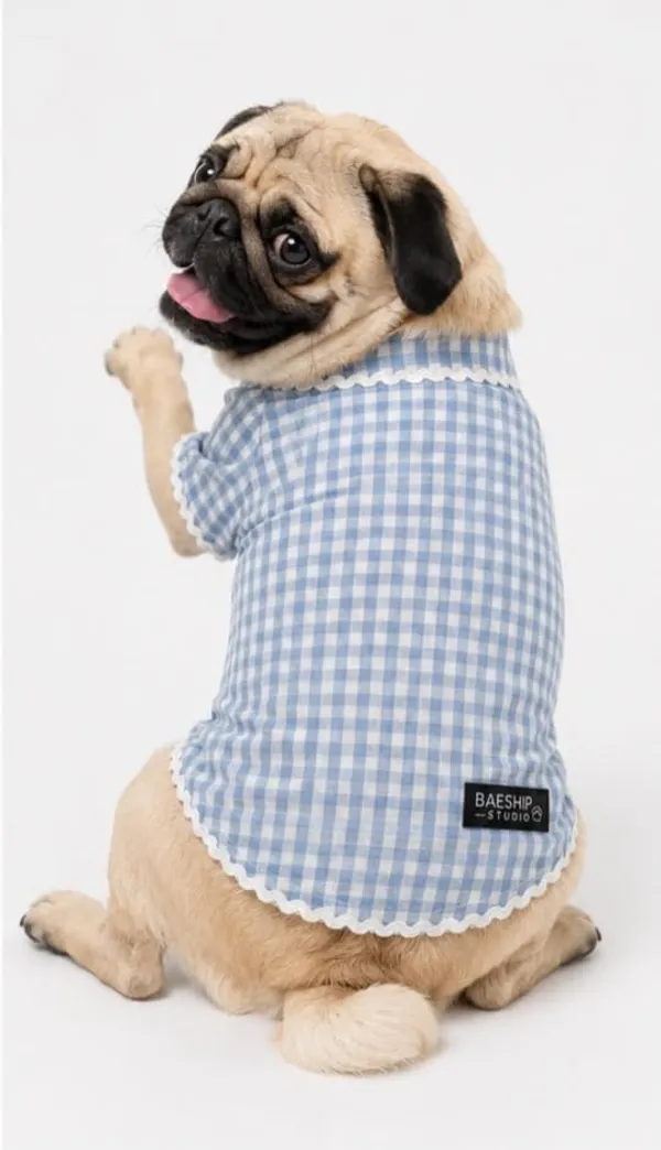 Checked_Kurta_For_Dogs