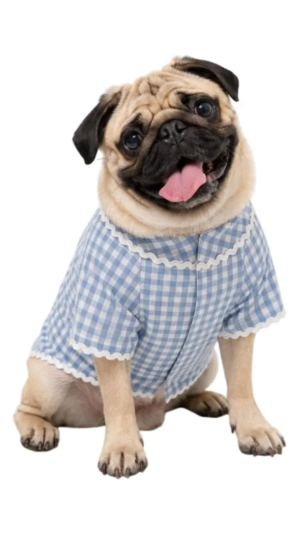 Checked_Kurta_For_Dogs