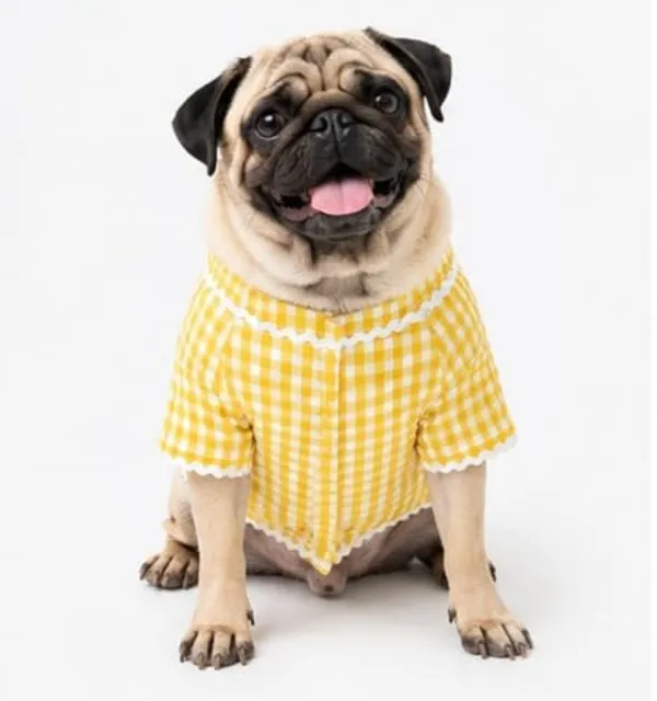 Check_Pattern_Dog_Kurta