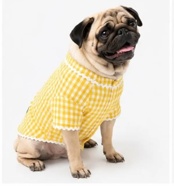 Check_Pattern_Dog_Kurta