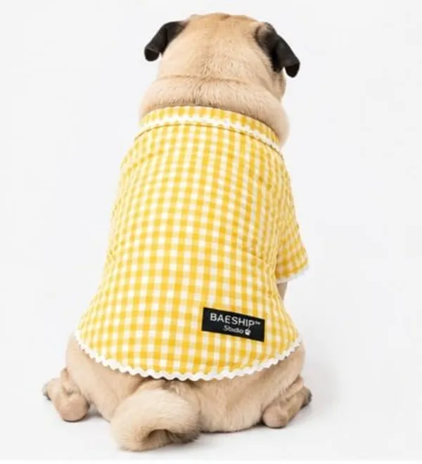 Check_Pattern_Dog_Kurta