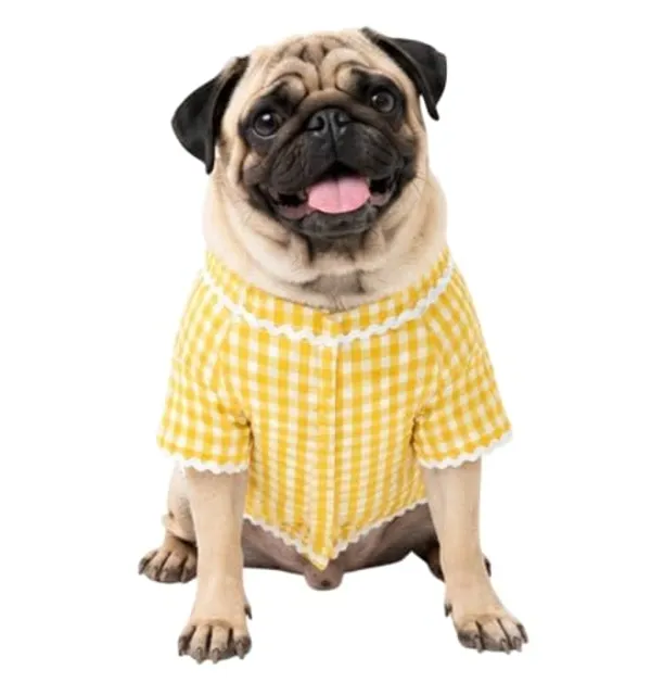 Check_Pattern_Dog_Kurta