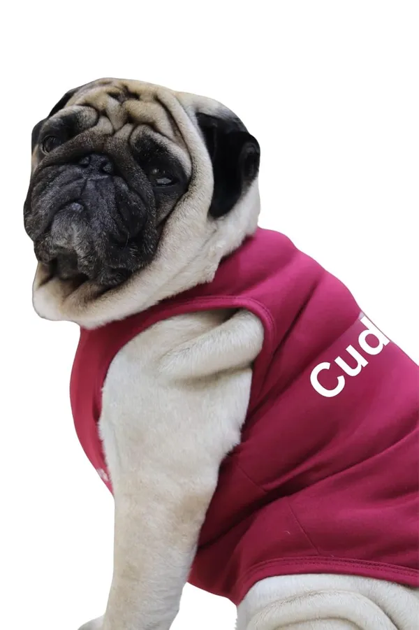 Maroon_Cotton_T_Shirt_For_Dogs