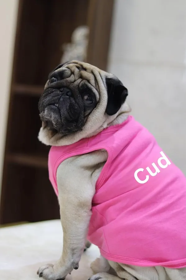 Pink_Cotton_Oversized_Printed_T_Shirt_For_Dogs