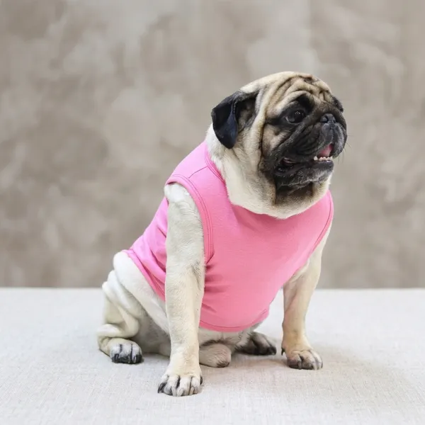 Pink_Cotton_Oversized_Printed_T_Shirt_For_Dogs
