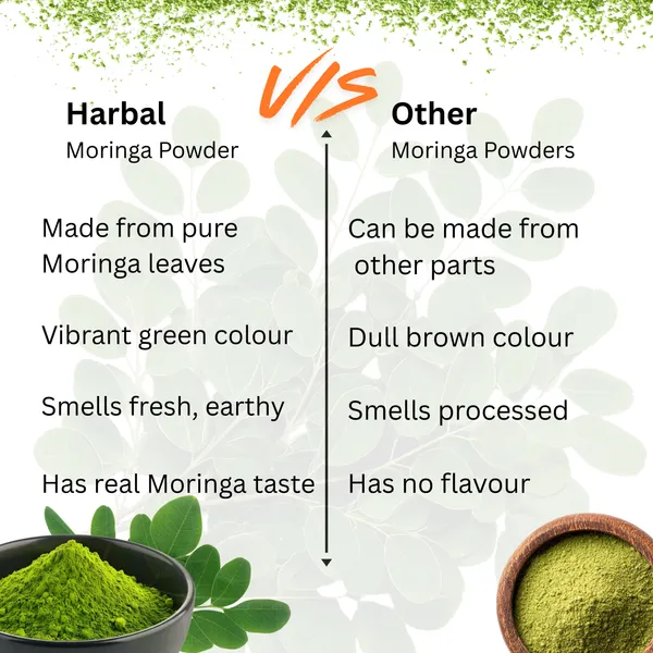 HERBAL_CHURN-MORINGA-B12_Green_Food_Powder_100gm__Pack_of_3_Natural_Ayurvedic_Laxative_for_Constipation_Relief_|_Plant-Based_Herbal_Supplement,_Boosts_Energy_&_Digestion_Plant_Based_Vitamin_B12_Supplement_(HERBAL_B12GreenFood_Powder)_|_Vitamin_B1,_B2,_B3,_B6,_B9,C_&_A_|_Boost_Energy_Level,_Good_For_Digestion_&_Stress_Moringa_Powder_From_Pure_Drumstick_Leaves_|_Gives_Natural_Energy_&_Nutrients_For_Men_&_Women.