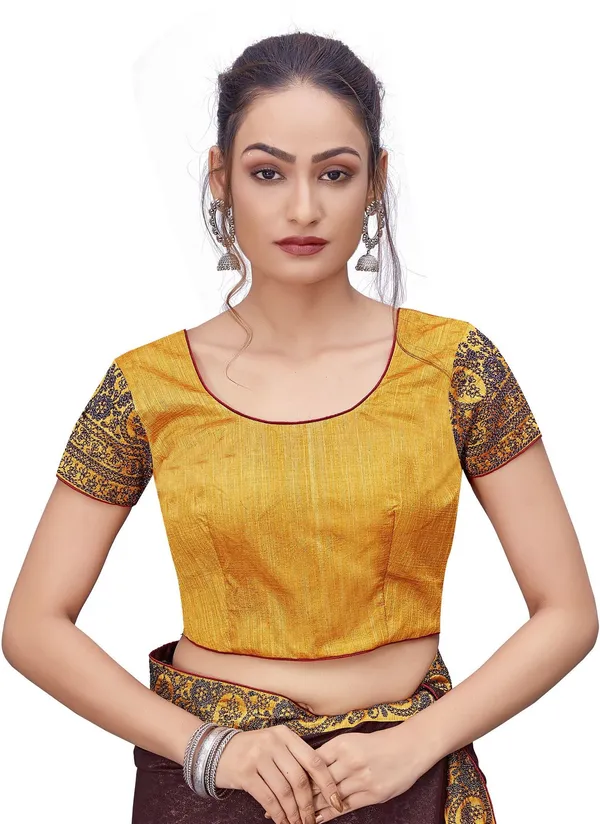 Brown_Georgette_Embroidered_Border_Silk_Blend_Saree_For_Women_|_With_Blouse_Piece