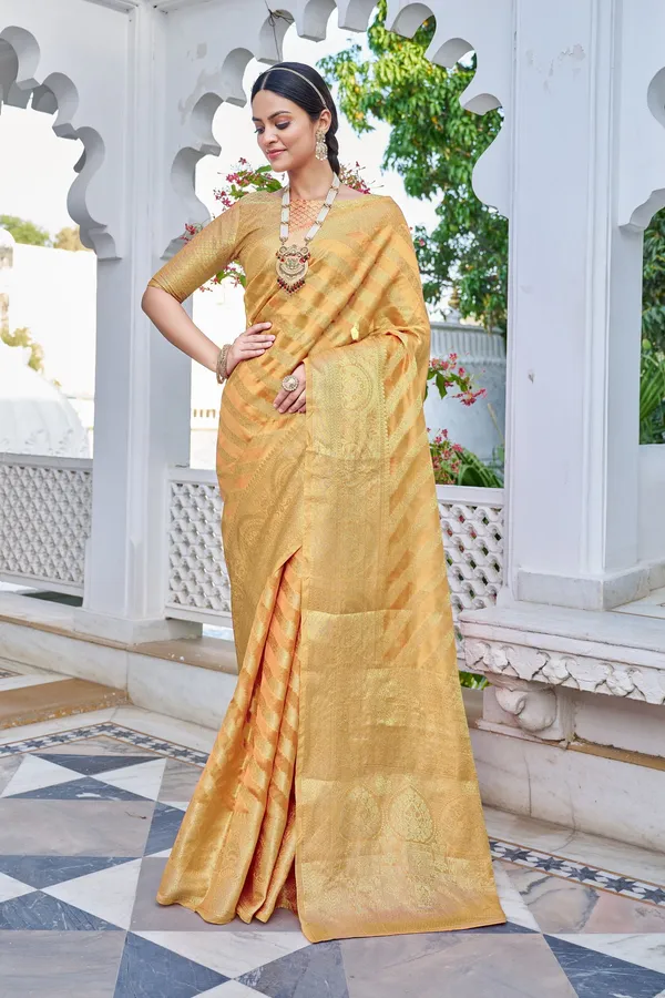 Orange_Organza_Woven_Banarasi_Jacquard_Saree_For_Women_|_With_Blouse_Piece