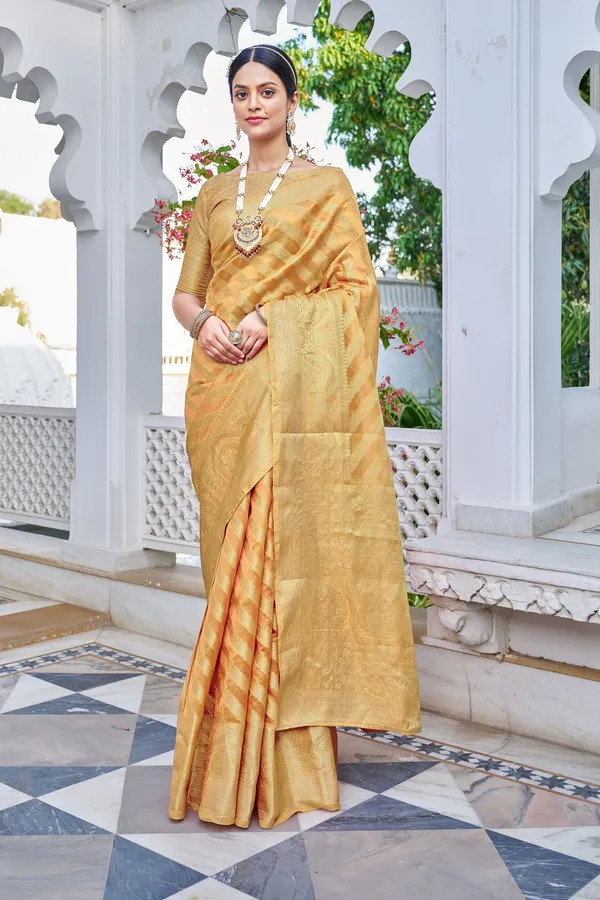 Orange_Organza_Woven_Banarasi_Jacquard_Saree_For_Women_|_With_Blouse_Piece
