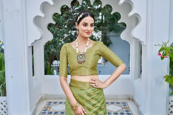 Light_Green_Organza_Banarasi_Jacquard_Woven_Saree_For_Women_|_With_Blouse_Piece