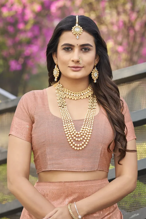 Pink_Georgette_Banarasi_Jacquard_Woven_Silk_Blend_Saree_For_Women_|_With_Blouse_Piece