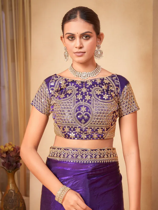 Purple_Organza_Sequin_Dori_Embroidered_Lace_Border_Saree_For_Women_|_With_Blouse_Piece