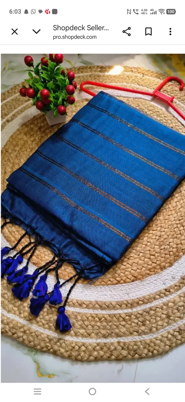 Blue_Khadi_Handloom_Jodi_Border_With_Blouse