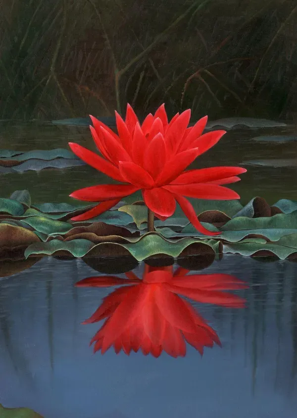 Premium_Elegant_Red_Cherry_Lotus_Tuber_Live_Plant