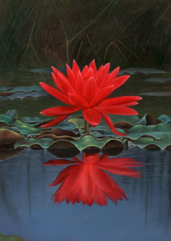 Premium_Elegant_Red_Cherry_Lotus_Tuber_Live_Plant