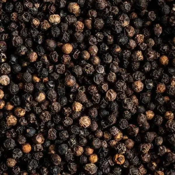 Black_Pepper_Golmorich_Healthy_Plant