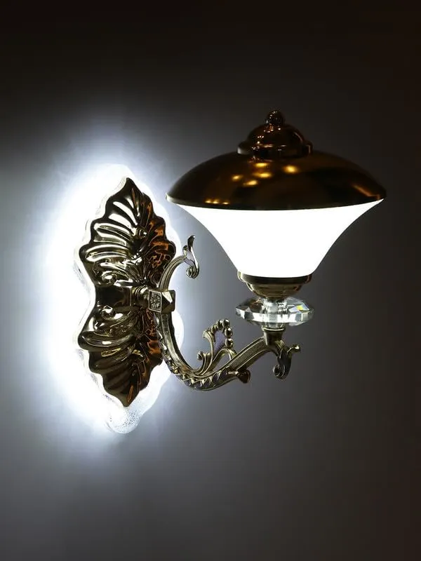 Metal_Modern_Gold_Acrylic_Diffuser_Frame_Wall_Light