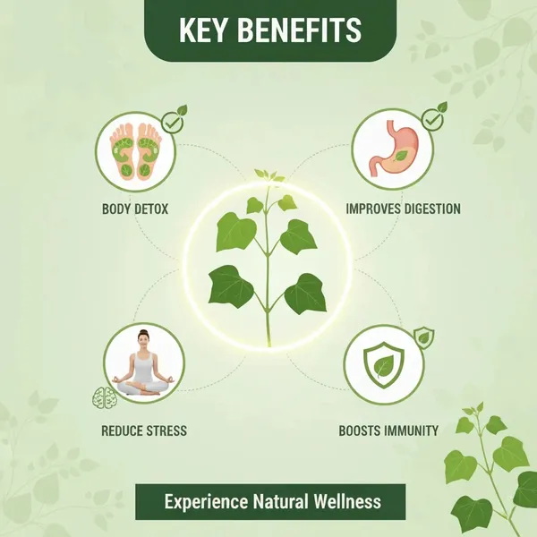 Herbal_Giloy_Detox_Foot_Patch_(_Buy_1_Get_1_Free=_Pack_Of_2)