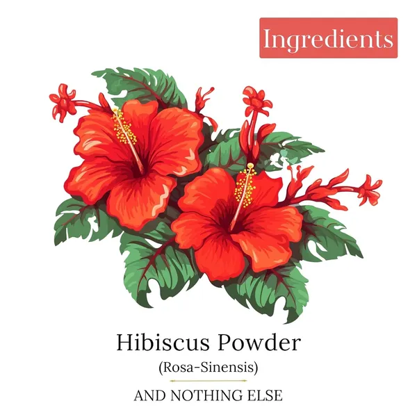 Organic_Hibiscus_Powder_For_Hair_And_Skin_Care_Pack_Of_3