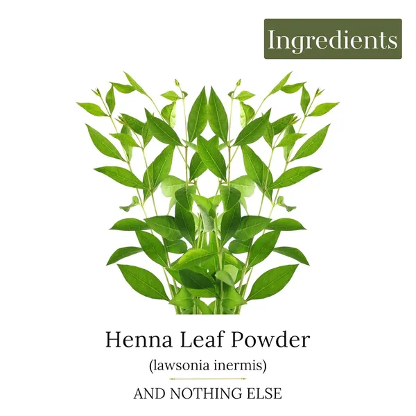 Henna_Powder_For_Hair_Pack_Of_3