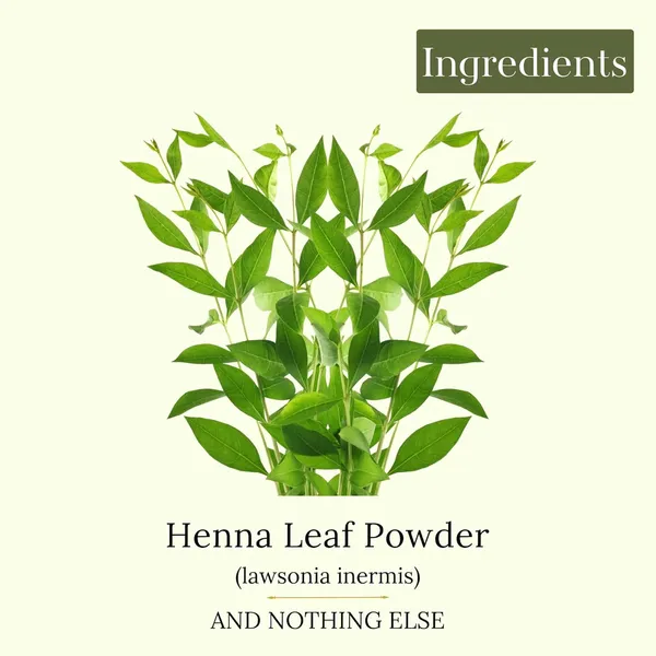 Henna_Powder_For_Hair_And_Hands_Pack_Of_2