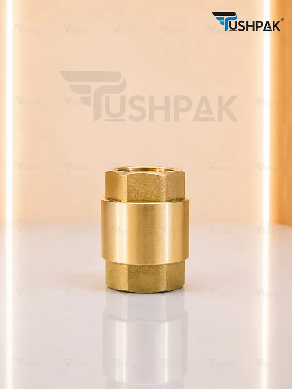 25_MM_Brass_Vertical_Non_Return_Valve_Pack_Of_