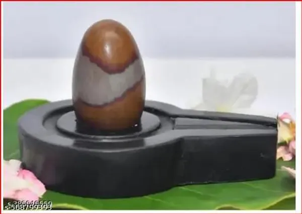 Narmdeshwar_Shivling_Original_Narmdeshwar_Shivling_Small_Size_Narmdeshwar_Shivling