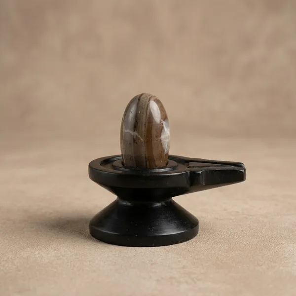 2_Inches_Narmadeshwar_Shivling_With_Narmada_Stone_Jaladhari