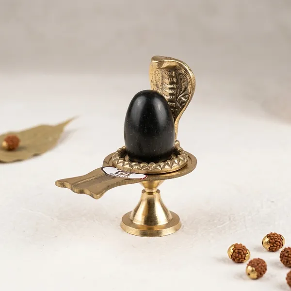 Shivam_Vastukala_Brass_Jaladhari_Narmadeshwar_Shivling_With_Brass_Base