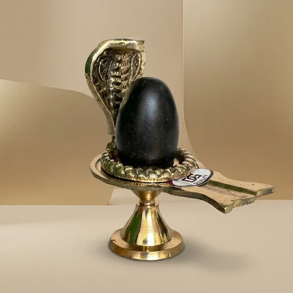 Shivam_Vastukala_Brass_Jaladhari_Narmadeshwar_Shivling_With_Brass_Base