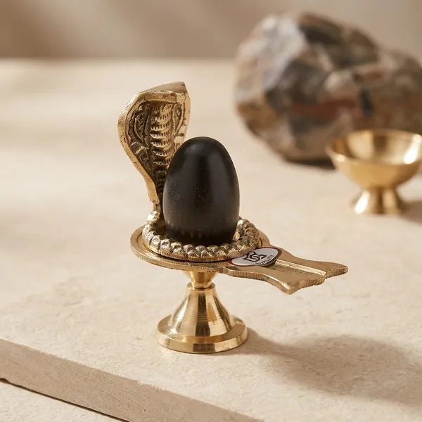 Shivam_Vastukala_Brass_Jaladhari_Narmadeshwar_Shivling_With_Brass_Base