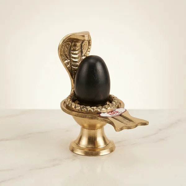 Shivam_Vastukala_Brass_Jaladhari_Narmadeshwar_Shivling_With_Brass_Base