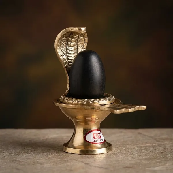 Shivam_Vastukala_Brass_Jaladhari_Narmadeshwar_Shivling_With_Brass_Base
