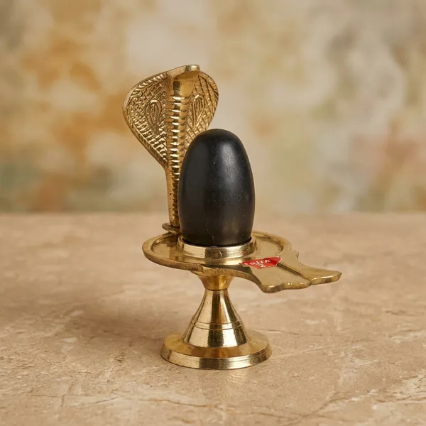 Shivam_Vastukala_Brass_Jaladhari_Narmadeshwar_Shivling_With_Brass_Base