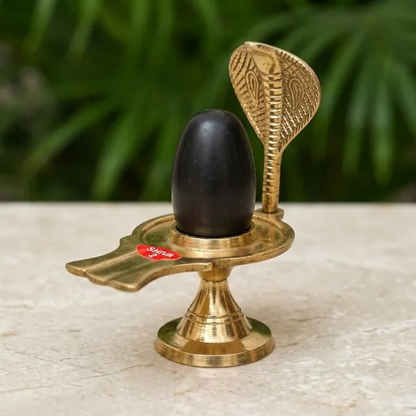 Shivam_Vastukala_Brass_Jaladhari_Narmadeshwar_Shivling_With_Brass_Base
