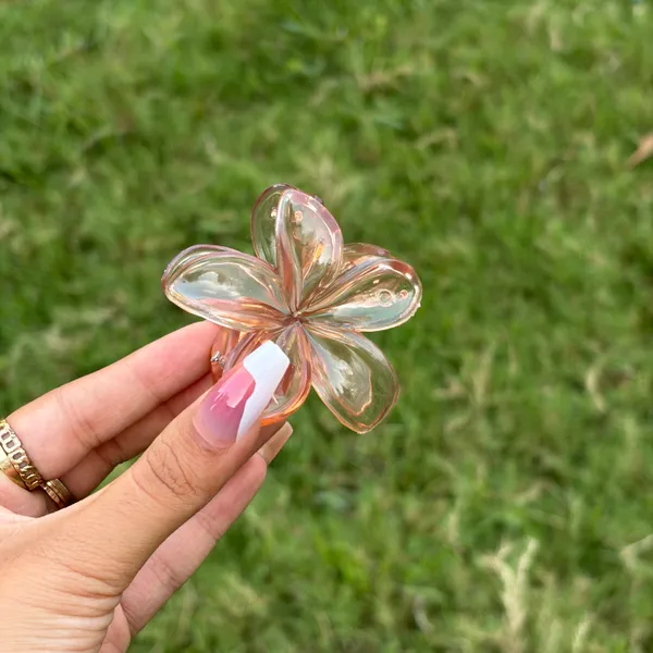 Transparent_Abs_Plastic_Korean_Claw_Clip_For_Women_(Pack_Of_7)