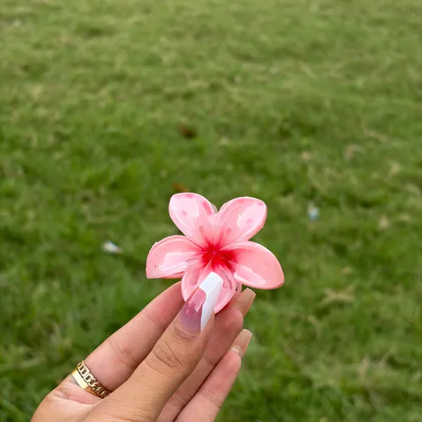 Red_Abs_Plastic_Flower_Korean_Claw_Clip_For_Women_(Pack_Of_6)