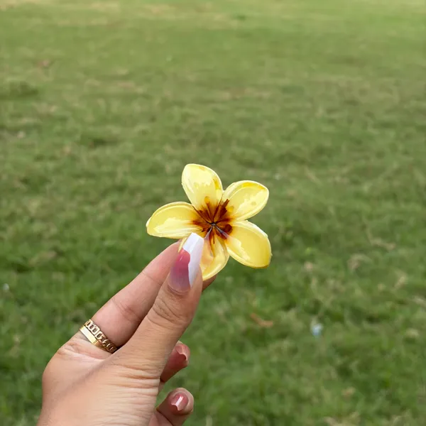 Yellow_Abs_Plastic_Flower_Korean_Claw_Clip_For_Women_(Pack_Of_7)