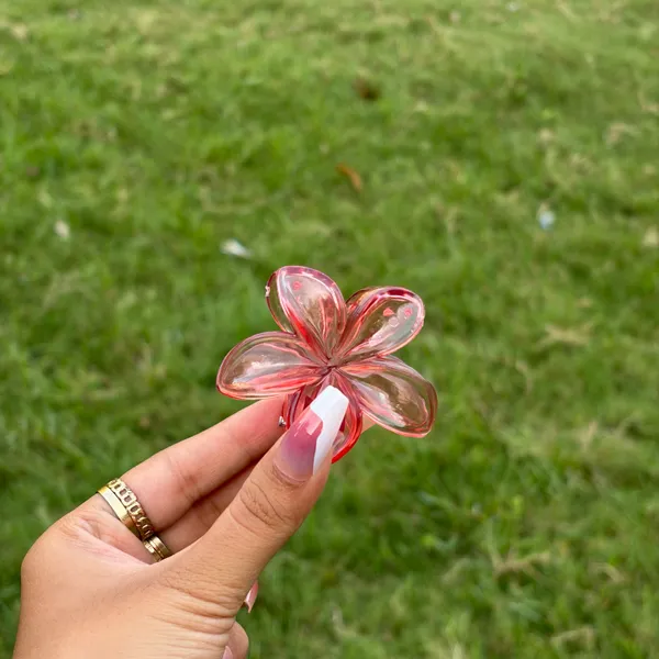 Red_Abs_Plastic_Korean_Claw_Clip_For_Women_(Pack_Of_7)