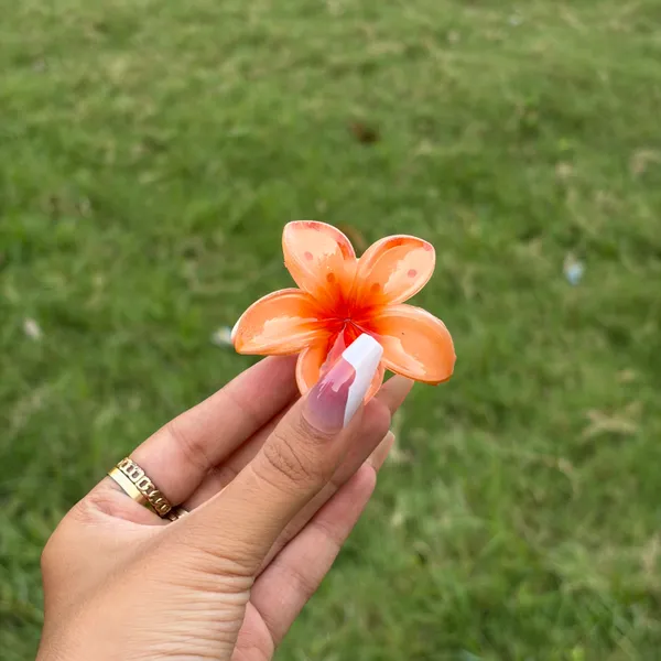 Orange_Abs_Plastic_Flower_Korean_Claw_Clip_For_Women_(Pack_Of_7)