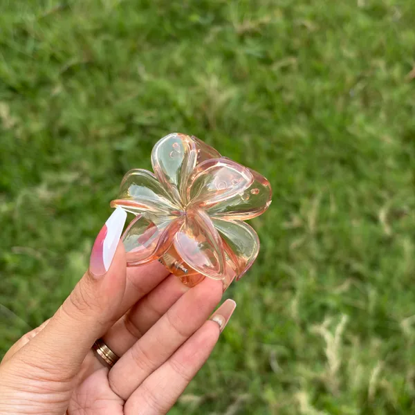 Transparent_Abs_Plastic_Korean_Claw_Clip_For_Women_(Pack_Of_7)