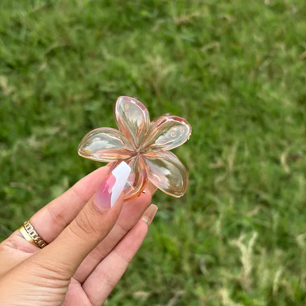 Transparent_Abs_Plastic_Korean_Claw_Clip_For_Women_(Pack_Of_7)