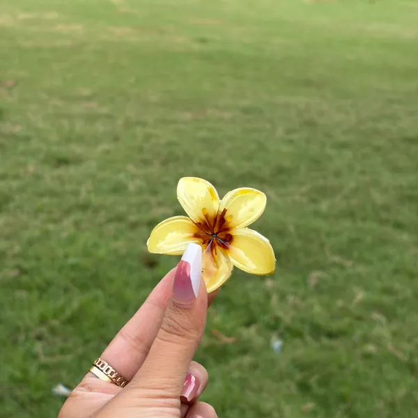 Yellow_Abs_Plastic_Flower_Korean_Claw_Clip_For_Women_(Pack_Of_7)