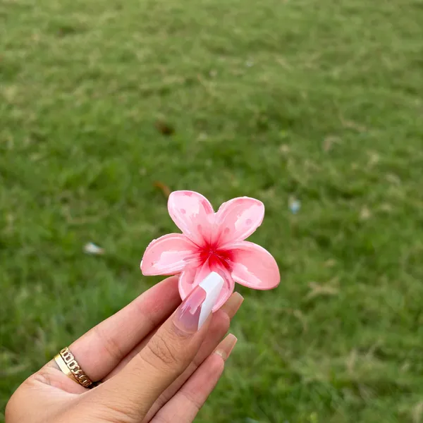 Red_Abs_Plastic_Flower_Korean_Claw_Clip_For_Women_(Pack_Of_6)