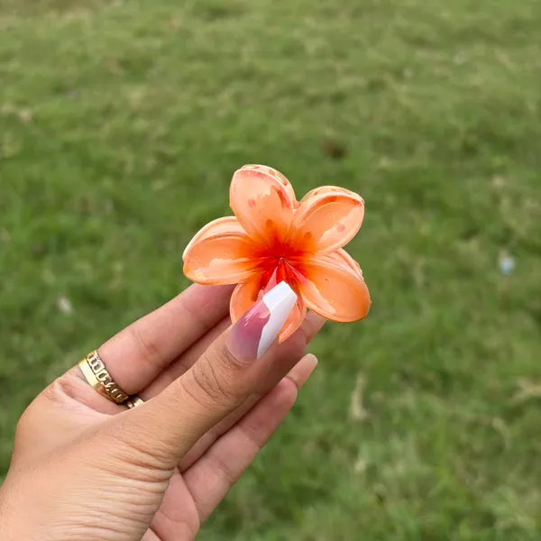 Orange_Abs_Plastic_Flower_Korean_Claw_Clip_For_Women_(Pack_Of_7)