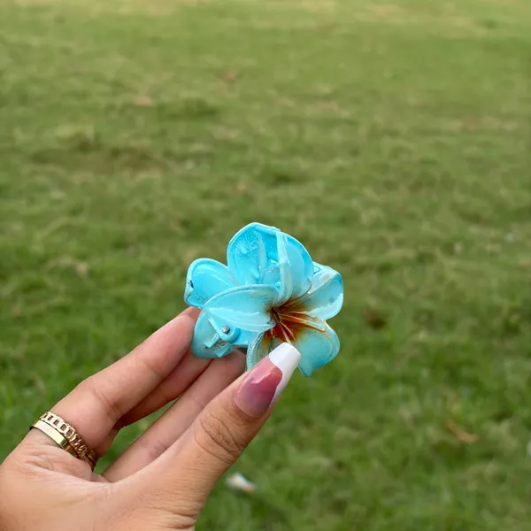 Sky_Blue_Abs_Plastic_Flower_Korean_Claw_Clip_For_Women_(Pack_Of_8)