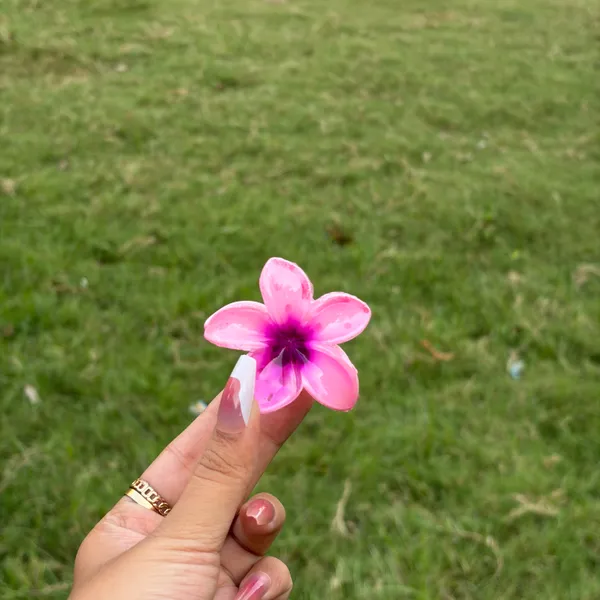 Pink_Abs_Plastic_Flower_Korean_Claw_Clip_For_Women_(Pack_Of_7)
